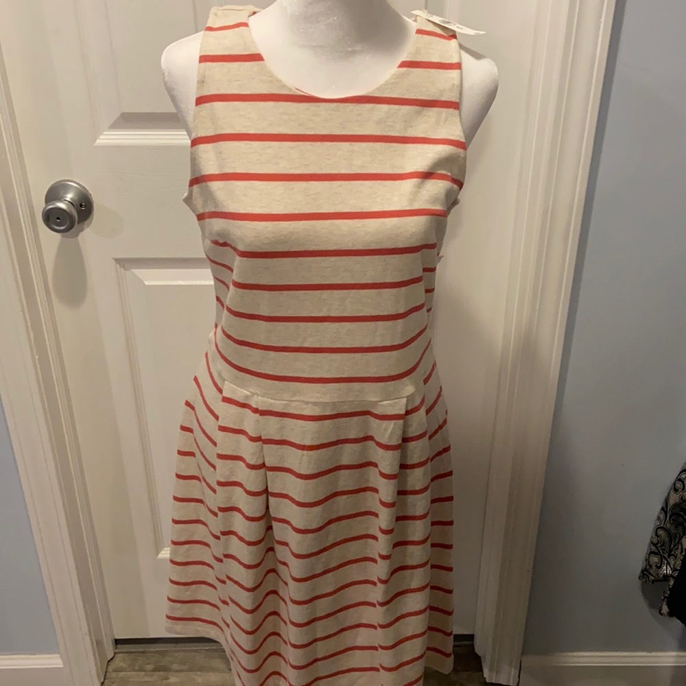 Ann Taylor Loft women’s dress size 6 NWT